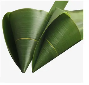 Bambu orgânico com alta qualidade e bom preço