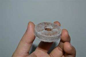 เม็ดมะพร้าว, เม็ดสำหรับปลูก, เม็ดใยมะพร้าวราคาถูก - Product Image 4