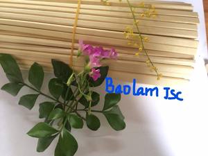 ตะเกียบไม้ไผ่แบบใช้แล้วทิ้งเป็นมิตรต่อสิ่งแวดล้อม - Product Image 2