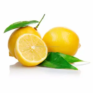 Certified Organic Olio di Limone Fornitore All'ingrosso/Esportatore a Prezzi Buoni