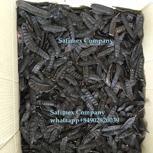 Gleditsia triacanthos Boket Vietnam févier - Product Image 2