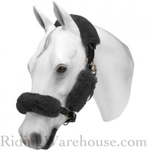 Newly Arrived Shepra Horse <b>Halter</b> at Unbelievable Price - Product Image 6