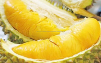 Verse Durian Fruit-Vietnamese Verse Durian Speciale Fruit/Smakelijke/Unieke Smaak