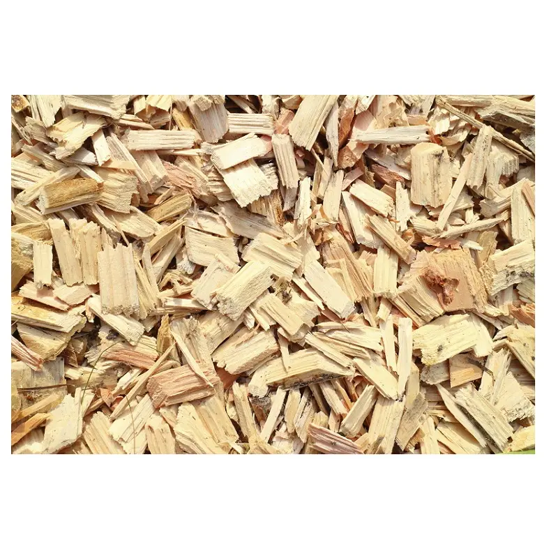 Chip de madeira de borracha de borracha para venda, fichas de madeira de acácia e pinha de alta qualidade
