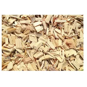 High quality - Acacia and pine wood eucalyptus rubber wood chip for sale - wholesale wood chips lowest taxes