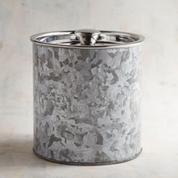 Seau à glace en métal galvanisé de 3 litres, refroidisseur de boissons, bac de service pour bar, idéal pour les fêtes, la maison et les événements