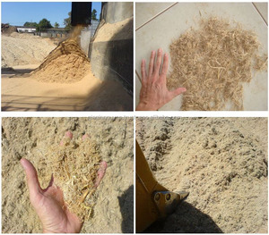 FIBRE DE BAGASSE DE CANNE À SUCRE RECYCLÉE pour BIOCARBURANT/ CANNE À SUCRE SÉCHÉE/ DÉCHETS AGRICOLES - Product Image 3
