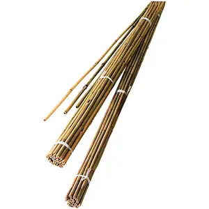BAMBOO POLES WITH CHEAP PRICE FOR EXPORTING (WHATSAPP +84 845 639 639)
