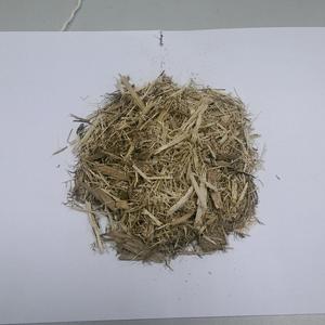 Déchets de canne à sucre à prix avantageux provenant de la sucrerie - Product Image 6