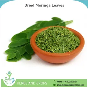 Premium kalite organik kurutulmuş Moringa yaprakları