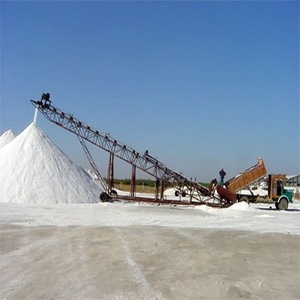 Meilleur fournisseur de sel de mer cristal pour la cuisine de piscine glacée de qualité pour les États-Unis, le Canada, le Royaume-Uni Emballage 25kg 50kg pp Sac - Product Image 5