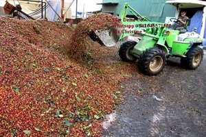 Cáscara de Grano de Café/Cáscara de Café de Vietnam en Oferta - Product Image 6