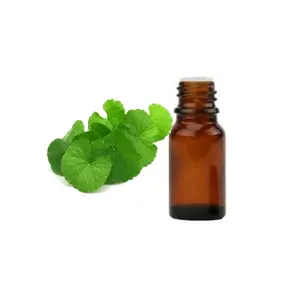 100% Natuurlijke Biologische Groene Munt Etherische Olie Van Voedingskwaliteit | Groene Munt Mentha Spicata Olie Leveranciers Voor Huidverzorging