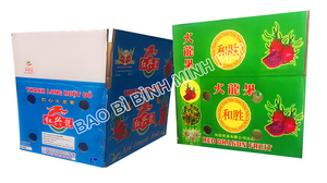 กล่องบรรจุภัณฑ์ผลไม้มังกรสดเวียดนาม - Product Image 4
