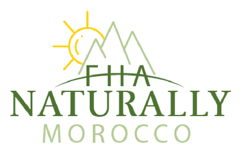 FHA SYSTEM SARLAU logo