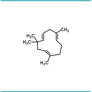 สารสกัดจากพืช95% ฮิวมูลีนกลิ่นหอมธรรมชาติจากอินเดีย - Product Image 2