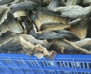 ผิวปลาแห้งเวียดนาม/หนังปลาคุณภาพสูง/น.ส. ลิลลี่ + 84 906 927 736 - Product Image 3