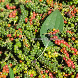 Offre Spéciale Poivre Noir Bio du Vietnam 600GL FAQ Poivre Entier Séché Vente en Gros Exportation Fournisseur d'Usine - Product Image 3