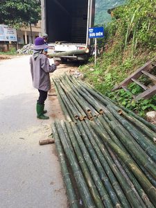 Poteau en bambou brut/clôture en bambou Échelle en bambou naturel Étagère Couverture Échelles Chambres de sauna en bambou Dressing Porte-serviettes - Product Image 3