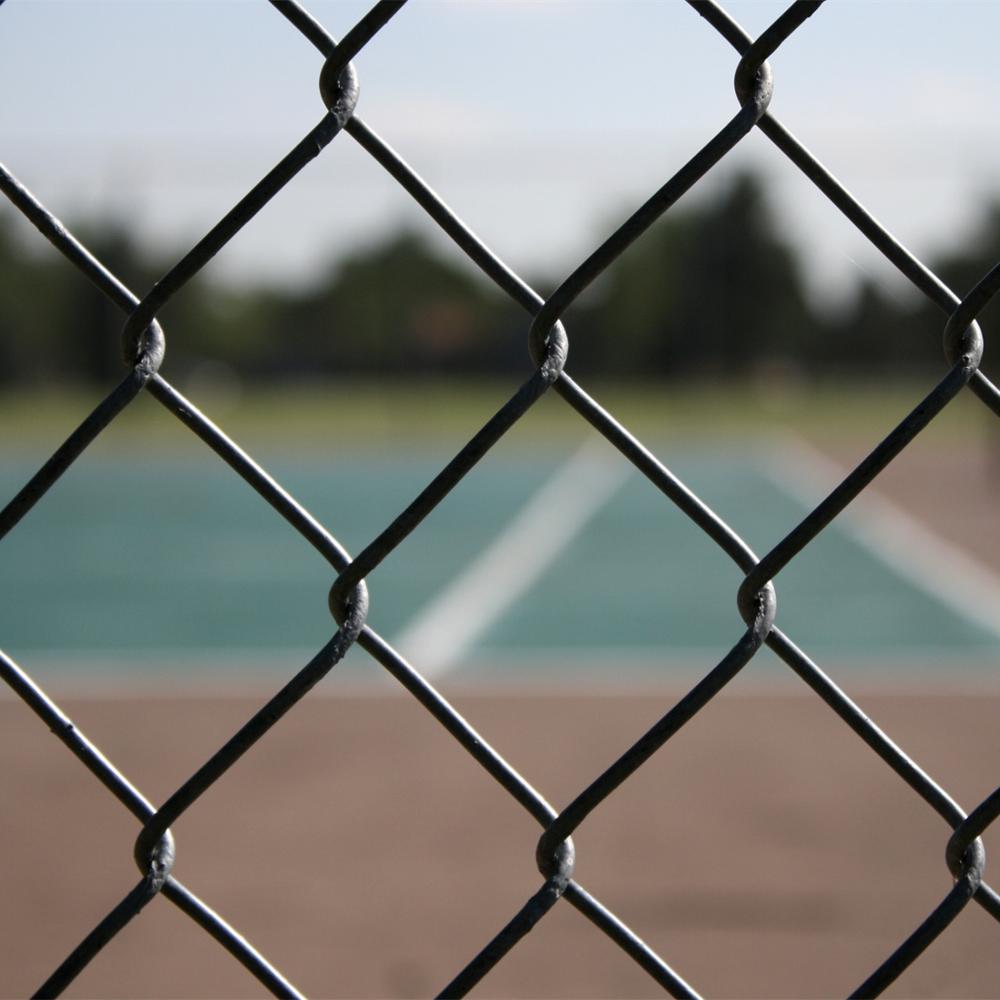 latest company news about Galvanized Pvc Coated Mesh Rolls Cyclone wire Chain Link Fence  0