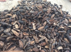 ลูกยอ/ตัดผลไม้ NONI แห้ง - Product Image 6