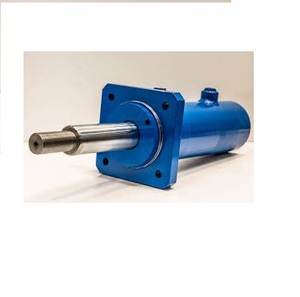 Cylindre hydraulique en acier, pour plante en acier, de style indien - Product Image 5