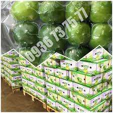 Limón fresco/Lima fresca, el mejor precio, importación de exportación - Product Image 4