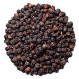 Pimienta Negra de Vietnam 580GL FAQ en Oferta, Pimienta Entera Seca, Exportación a Granel, Suministro de Fábrica al por Mayor - Product Image 2