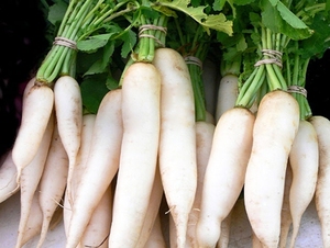 Tranche de radish blanc séché en 2020, haute qualité, meilleur prix - Product Image 4