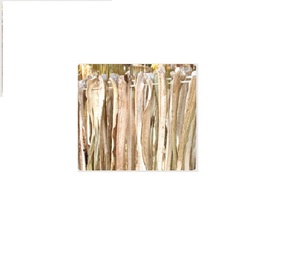 เผือกแห้งราคาถูกที่สุดจากเวียดนาม - Product Image 1