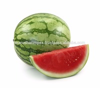 Naturel pastèque En Poudre à Saveur de Fruits
