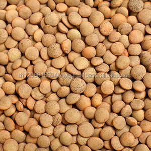 GOOD Wholesale Thai Hot Sale Organic MC Green <b>Lentils</b> Price - Product Image 3