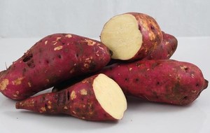 Polvo de batata de alta calidad - Product Image 6