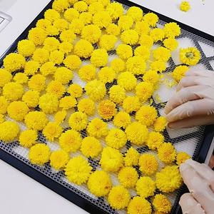 ผงดอกเดซี่ ผงดอกเบญจมาศ ราคาสุดคุ้ม ขายดี ผลิตโดยตรงจากโรงงาน-Vietdelta - Product Image 5