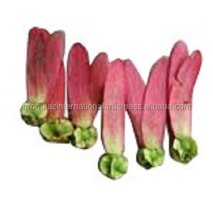 Excellente qualité d'huile essentielle de baume de Gurjun Fabricants d'huiles essentielles de baume de Gurjun de haute qualité-100% Pure Organic - Product Image 1