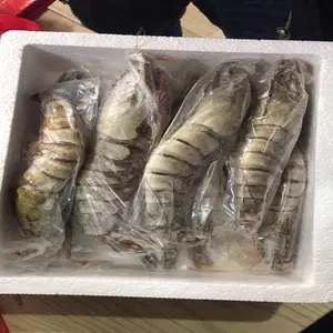 新鲜和冷冻黑虎虾用最便宜的价格在越南