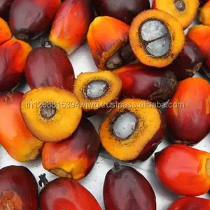 Palm acid oil (PAO), palm fatty acid distillate, RBD Palm Olein Cooking Oil