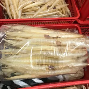 进口商最便宜的价格高品质散装干鱼肚