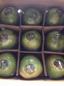 Coco joven fresco orgánico con pulpa y tirador de anillo para una fácil apertura-Precio competitivo de alto grado-Viet Delta - Product Image 5