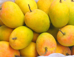 Aperitivos de Mango de alta calidad, Mango suave seco al mejor precio - Product Image 6