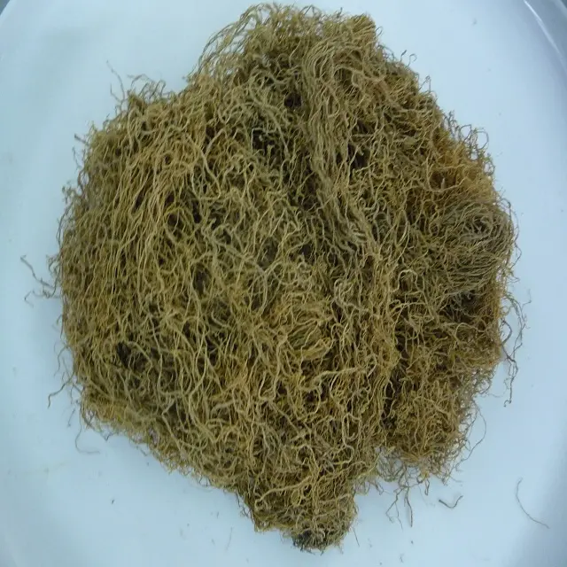 MANY KIND OF SEAWEEDS WITH BEST QUALITY