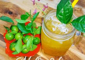 "Kumquat tập trung/calamondin/calamansi-Giá tốt nhất từ bán buôn Việt Nam: kỳ nghỉ - Product Image 5