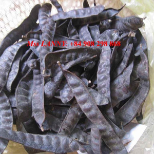 Semillas de Árbol de Argán/Lebbek - Product Image 4