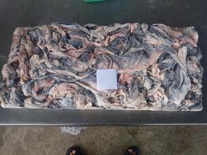 หนังปลาแห้งผิวปลาแช่แข็ง - Product Image 2