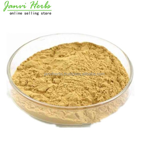 ผงกาแฟออร์แกนิกสีเขียวบริสุทธิ์จากธรรมชาติ100% สารสกัดจำนวนมากในราคาที่แข่งขันได้การสูญเสียน้ำหนักและสารต้านอนุมูลอิสระที่อุดมไปด้วย - Product Image 3