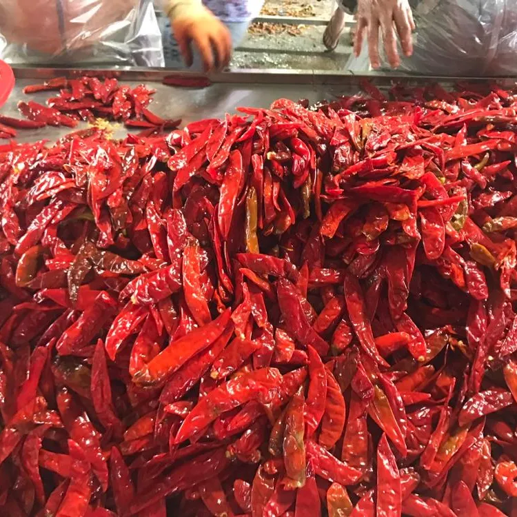 DELICIOUS DRIED CHILLI WITH SPECIAL PRICE - HIGH QUALITY - HOT PRODUCT