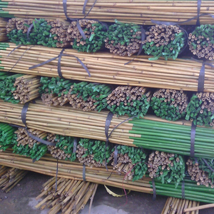 Postes de bambú NATURAL para agricultura - Product Image 5