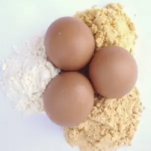 Best price High quality Egg white powder protein for baking with Factory price