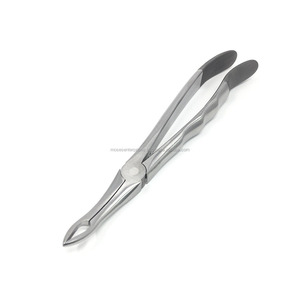 Quality American Dental Extracting Forceps - Product Image 6