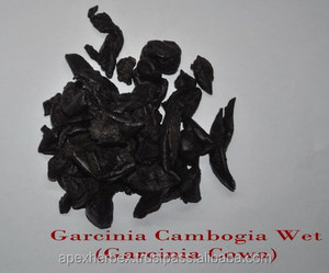 Extrait de Garcinia Cambogia Extrait de Garcinia - Product Image 4